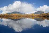 Mirror image of an autumn coloured forest and the Coast mountains in Tongass National Forest; Alaska, United States of America — Stock Photo