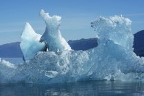 Eisberg schwimmt im Tracy Arm, Tongass Nationalwald; Alaska, Vereinigte Staaten von Amerika — Stockfoto