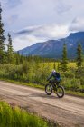 Uomo ciclismo grasso sulla Nabesna Road a Wrangell - St. Elias National Park e conservare in una nuvolosa giornata estiva nel centro-sud dell'Alaska, Stati Uniti d'America — Foto stock