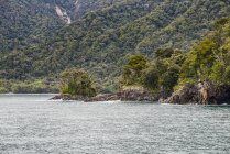 Una piccola isola rocciosa verde, Fiordland National Park, Milford Sound; South Island, Nuova Zelanda — Foto stock
