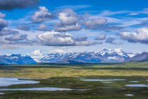 Аляскинський хребет, включаючи гору Хейс і хребет Макларен, в південно-центральній Алясці в сонячний літній день, Аляска, Сполучені Штати Америки. — стокове фото