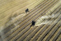 Вид з повітря, що дивиться вниз на два об'єднання зернозбиральних рядів нарізаних ріпаку, на захід від Beiseker; Альберта, Канада — стокове фото
