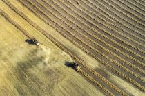Aerial view looking down onto two combines harvesting rows of cut canola, West of Beiseker; Alberta, Canada — Stock Photo