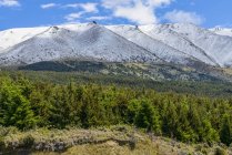 Montañas nevadas y bosques interminables cerca del lago Pukaki; Isla Sur, Nueva Zelanda - foto de stock