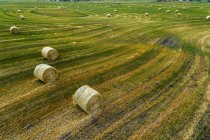 Vista ad alto angolo di una balla di fieno in un campo di taglio, a ovest di Calgary, Alberta, Canada — Foto stock