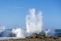 Crashing wave on the shore of Harris Beach, near Brookings; Oregon, United States of America — Stock Photo