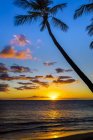 Coucher de soleil à travers des palmiers silhouettés ; Wailea, Maui, Hawaii, États-Unis d'Amérique — Photo de stock