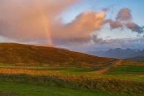 Arco iris al atardecer con una carretera que va a la distancia, Islandia - foto de stock