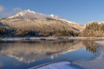 Зимний день вдоль береговой линии реки Менденхолл, Национальный лес Тонгасс; Джуно, Аляска, США — стоковое фото
