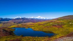 Parc national et réserve de parc national Denali vus de Peters Hills avec le mont Denali, connu sous le nom de mont McKinley, et la chaîne Alaska, Trapper Creek, Alaska, États-Unis d'Amérique — Photo de stock