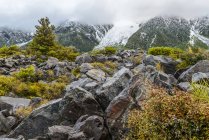 Roccia e vegetazione lungo Hooker Valley Track, Mount Cook National Park; South Island, Nuova Zelanda — Foto stock