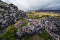Величний скелястий ландшафт на півострові змії; Ісландія — стокове фото