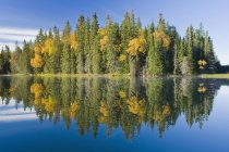 Colores otoñales en Glad Lake, Duck Mountain Provincial Park; Manitoba, Canadá - foto de stock