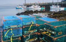Casiers à homards empilés le long du rivage avec des bateaux attachés à un quai en arrière-plan, baie de Fundy ; Tiverton, Long Island, Nouvelle-Écosse, Canada — Photo de stock