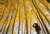 Observation des oiseaux randonneurs à l'automne avec feuillage doré sur les trembles, parc provincial Birds Hill ; Manitoba, Canada — Photo de stock