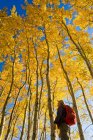 Hiker bird watching in autumn with golden foliage on the aspen trees, Birds Hill Provincial Park; Manitoba, Canada — Stock Photo