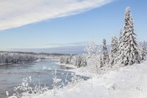 Alberi innevati lungo il fiume Kam in inverno; Thunder Bay, Ontario, Canada — Foto stock