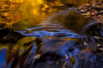 Autumn coloured leaves and blue sky reflections in Jeffers Brook near Lakelands; Nova Scotia, Canada — Stock Photo