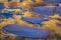 Panelas de gelo e reflexos do céu na Bedford Bay ao pôr do sol, Bedford, Nova Escócia, Canadá — Fotografia de Stock