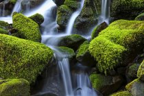 Rochers recouverts de mousse avec eau en cascade, Denver, Colorado, États-Unis d'Amérique — Photo de stock