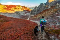 Zaino in spalla femminile, zaino in spalla con il suo cane sul Kesugi Ridge Trail in autunno, Denali State Park; Alaska, Stati Uniti d'America — Foto stock