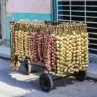 Saiten aus frischen Zwiebeln und Knoblauch zum Verkauf auf einem Einkaufswagen auf der Straße; Havanna, Kuba — Stockfoto