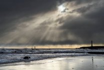 Roker Beach with pier and lighthouse under a cloudy sky with sunbeams emerging and a dog playing in the surf at the edge of River Ware; Sunderland, Tyne and Wear, England — Stock Photo