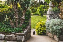 Каменные стены и сад замка Дуйно с котом на дорожке; Италия — стоковое фото