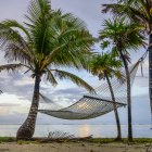 Hängematte zwischen Palmen am Strand bei Sonnenuntergang; Bay Islands Department, honduras — Stockfoto