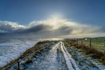Cão caminhando em um caminho nevado ao longo da costa; South Shields, Tyne and Wear, Inglaterra — Fotografia de Stock