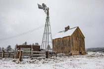 Fazenda com celeiro e moinho de vento coberto de neve; Denver, Colorado, Estados Unidos da América — Fotografia de Stock