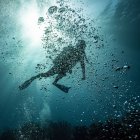 Ныряльщик с аквалангом, затемненный пузырьками под водой на месте погружения Blue Channel, Roatan Marine Park; Bay Islands Department, Гондурас — стоковое фото
