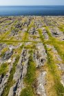 Paesaggio roccioso ed erboso dell'isola di Inishmore lungo la costa dell'Irlanda, Wild Atlantic Way; Inishmore Island, County Galway, Irlanda — Foto stock