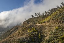 Eritrean escarpment, as seen from the Asmara-Massawa road; Central Region, Eritrea — Stock Photo