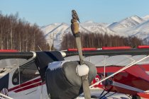 Vista panoramica di arroccato Falco Gufo del Nord a natura selvaggia — Foto stock