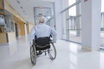 Rear view of a professor with Muscular Dystrophty sitting in a wheelchair — Stock Photo