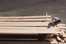 Vista de ângulo alto de um carpinteiro cortando chanfros em vigas — Fotografia de Stock