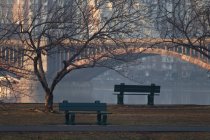 Живописный вид скамеек в парке в Бостоне, округ Саффолк, штат Массачусетс, США — стоковое фото