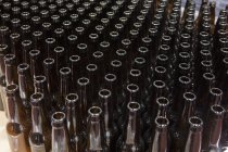 Botellas vacías para embotellar en una cervecería - foto de stock