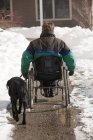 Mulher com esclerose múltipla em uma cadeira de rodas com um cão de serviço no inverno — Fotografia de Stock