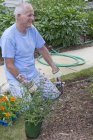 Uomo anziano piantare fiori nel suo giardino — Foto stock