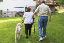 Frau mit rsd und ihr Diensthund mit Ehemann spazieren im Hinterhof — Stockfoto
