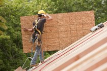 Carpintero hispano llevando un tablero de partículas en una casa en construcción - foto de stock