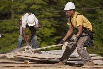 Carpenters trimming a particle board at a building construction site — Stock Photo