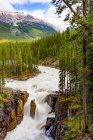 Vista panorámica de Sunwapta Falls, Sunwapta River, Jasper National Park; Alberta, Canadá - foto de stock