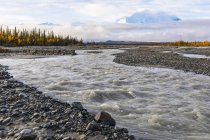 Denali au-dessus de la rivière Muddy en automne, Denali National Park and Preserve ; Alaska, États-Unis fo Amérique — Photo de stock