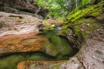 Bela paisagem natural com fluxo tranquilo em uma floresta; Saint John, New Brunswick, Canadá — Fotografia de Stock