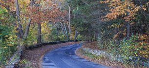 Farm road in fall, Broadmoor Wildlife Sanctuary, Natick, Massachusetts, USA — Stock Photo