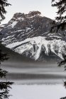 A snow-covered mountain with fog over snow-covered lake framed by evergreen trees in evening; Field, British Columbia, Canada — Stock Photo
