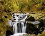 Cliff Falls, inúmeras cachoeiras que fluem sobre piscinas em camadas e bordas de rocha; Maple Ridge, British Columbia, Canadá — Fotografia de Stock